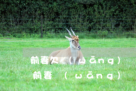 前妻欠網(wǎng)貸被起訴,前夫會怎樣，前妻網(wǎng)貸未還遭起訴，前夫是否會受影響？